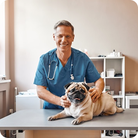 Vet with pug