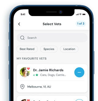 Select Vets App Screen