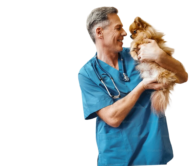 Veterinarian with dog